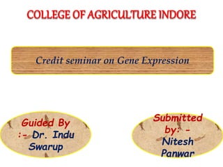 COLLEGE OF AGRICULTURE INDORE
Credit seminar on Gene Expression
Guided By
:- Dr. Indu
Swarup
Submitted
by: -
Nitesh
Panwar
 