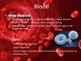 – Guard against infection, fight parasites, and attack bacteria
– Number of WBC’s increases when body is fighting
– Lymphocytes produce antibodies which fight pathogens and
remember them
 Platelets
Aid the body in clotting
Small fragments
Stick to edges of broken blood cell and secrete clotting factor to
help form clot.
 