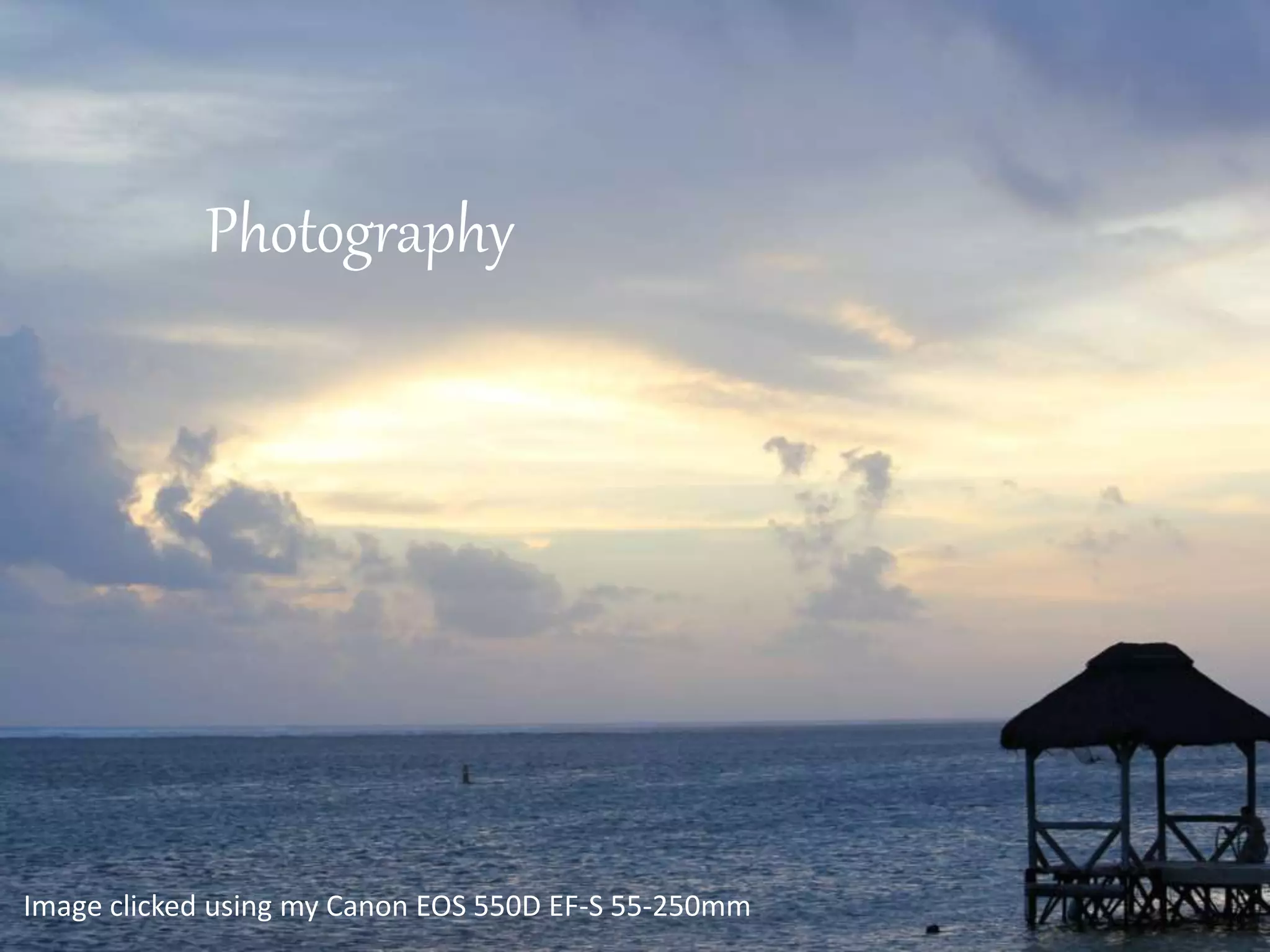 Photography
Image clicked using my Canon EOS 550D EF-S 55-250mm
 