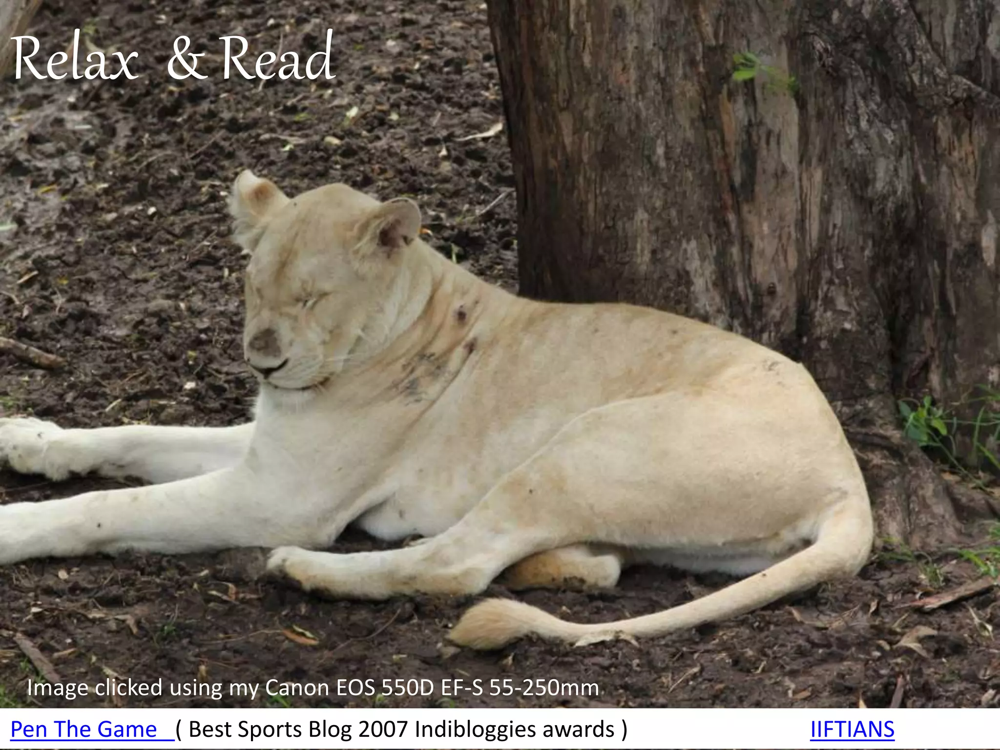 Relax & Read
Pen The Game ( Best Sports Blog 2007 Indibloggies awards )) IIFTIANS
Image clicked using my Canon EOS 550D EF-S 55-250mm
 