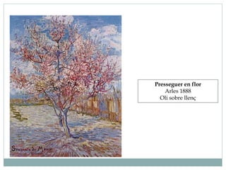 Presseguer en flor
Arles 1888
Oli sobre llenç
 