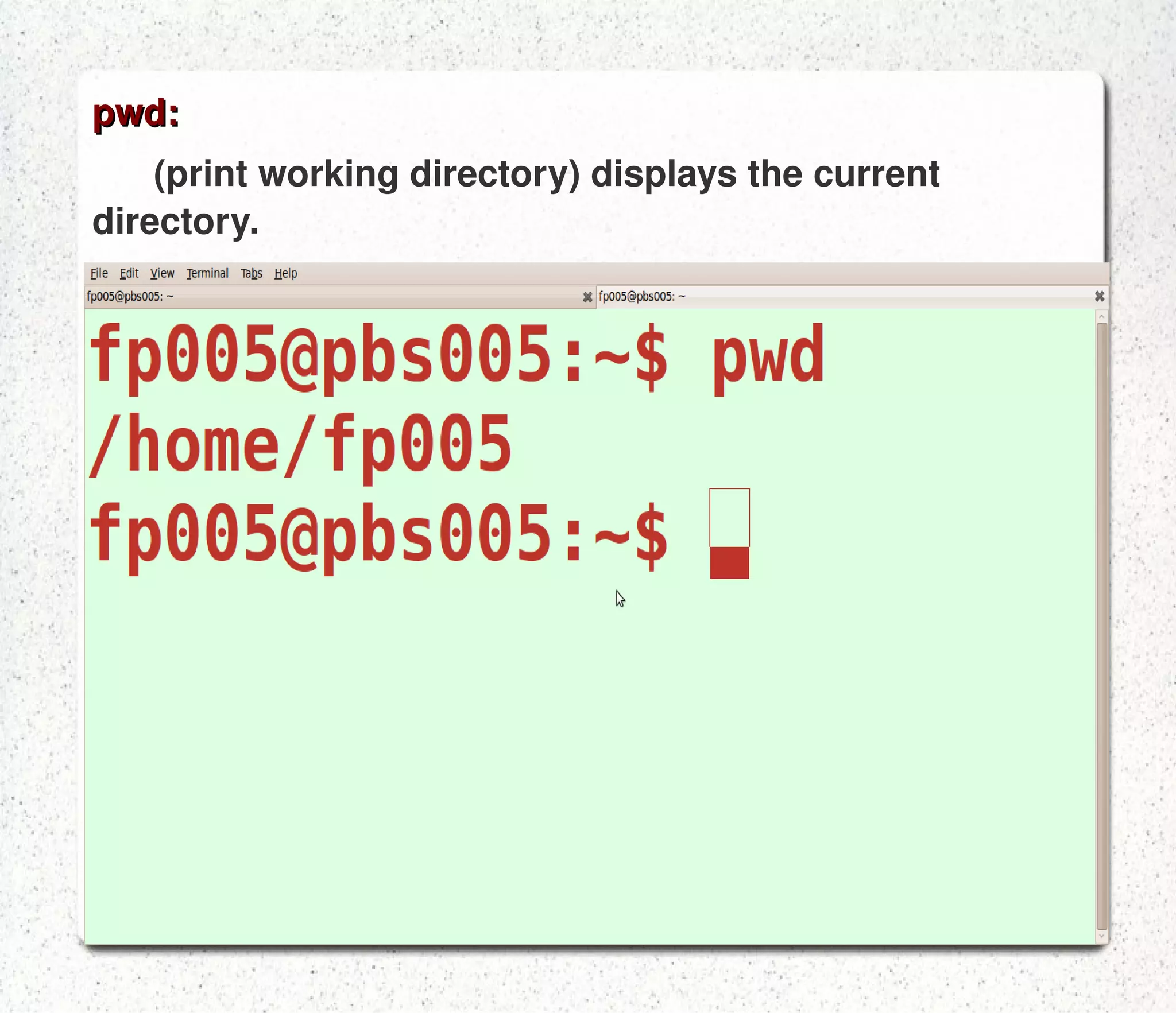 ls: Lists the files in the current directory  Some of the available options are: -l gives a long listing -a displays all file{including hidden files 