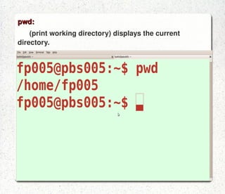 ls: Lists the files in the current directory  Some of the available options are: -l gives a long listing -a displays all file{including hidden files 
