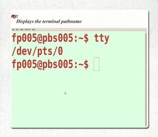 pwd: (print working directory) displays the current directory. 