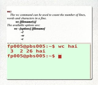 tty:   Displays the terminal pathname 