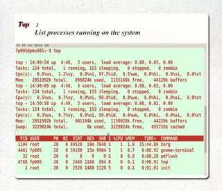rev  :    Reverse lines of a file 