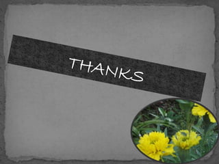 socialised methods of teaching