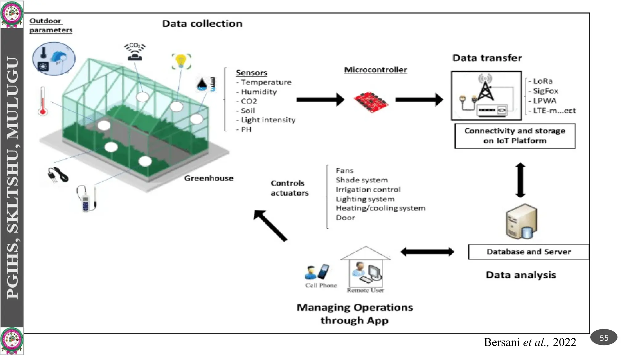 Bersani et al., 2022 55
 