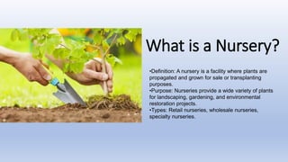 Nursery & Gardens Wholesaler in Telangana | PPT