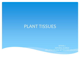 PLANT TISSUES
NITHYA J
NATURAL SCIENCE
MILLATH COLLEGE OF TEACHER EDUCATION
 