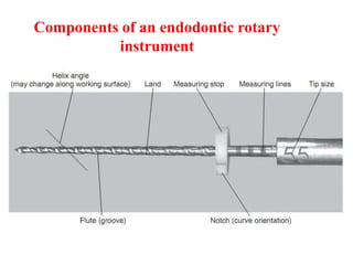 Components of an endodontic rotary
instrument
 