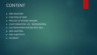 Skin tissue engineering | PPTX