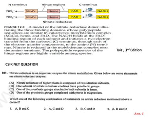Taiz , 3rd Edition
CSIR NET QUESTION
 