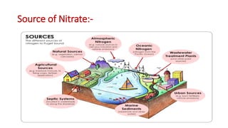 Source of Nitrate:-
 