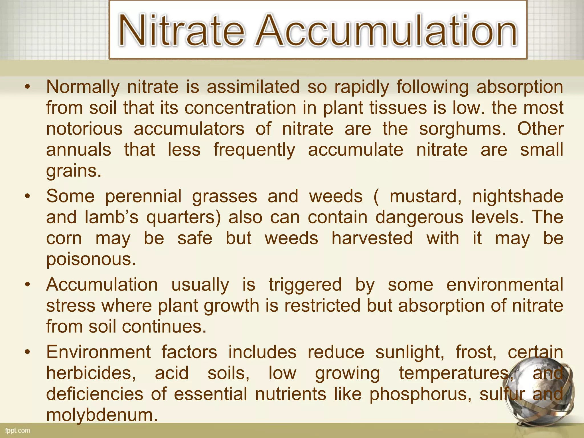 • Normally nitrate is assimilated so rapidly following absorption
from soil that its concentration in plant tissues is low. the most
notorious accumulators of nitrate are the sorghums. Other
annuals that less frequently accumulate nitrate are small
grains.
• Some perennial grasses and weeds ( mustard, nightshade
and lamb’s quarters) also can contain dangerous levels. The
corn may be safe but weeds harvested with it may be
poisonous.
• Accumulation usually is triggered by some environmental
stress where plant growth is restricted but absorption of nitrate
from soil continues.
• Environment factors includes reduce sunlight, frost, certain
herbicides, acid soils, low growing temperatures, and
deficiencies of essential nutrients like phosphorus, sulfur and
molybdenum.
 