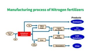 Manufacturing process of Nitrogen fertilizers
Manufacturing process of Nitrogen fertilizers
 