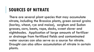 Nitrate Source Nitrate Toxicity in Ruminant | PDF