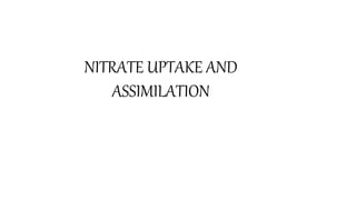 NITRATE UPTAKE AND
ASSIMILATION
 