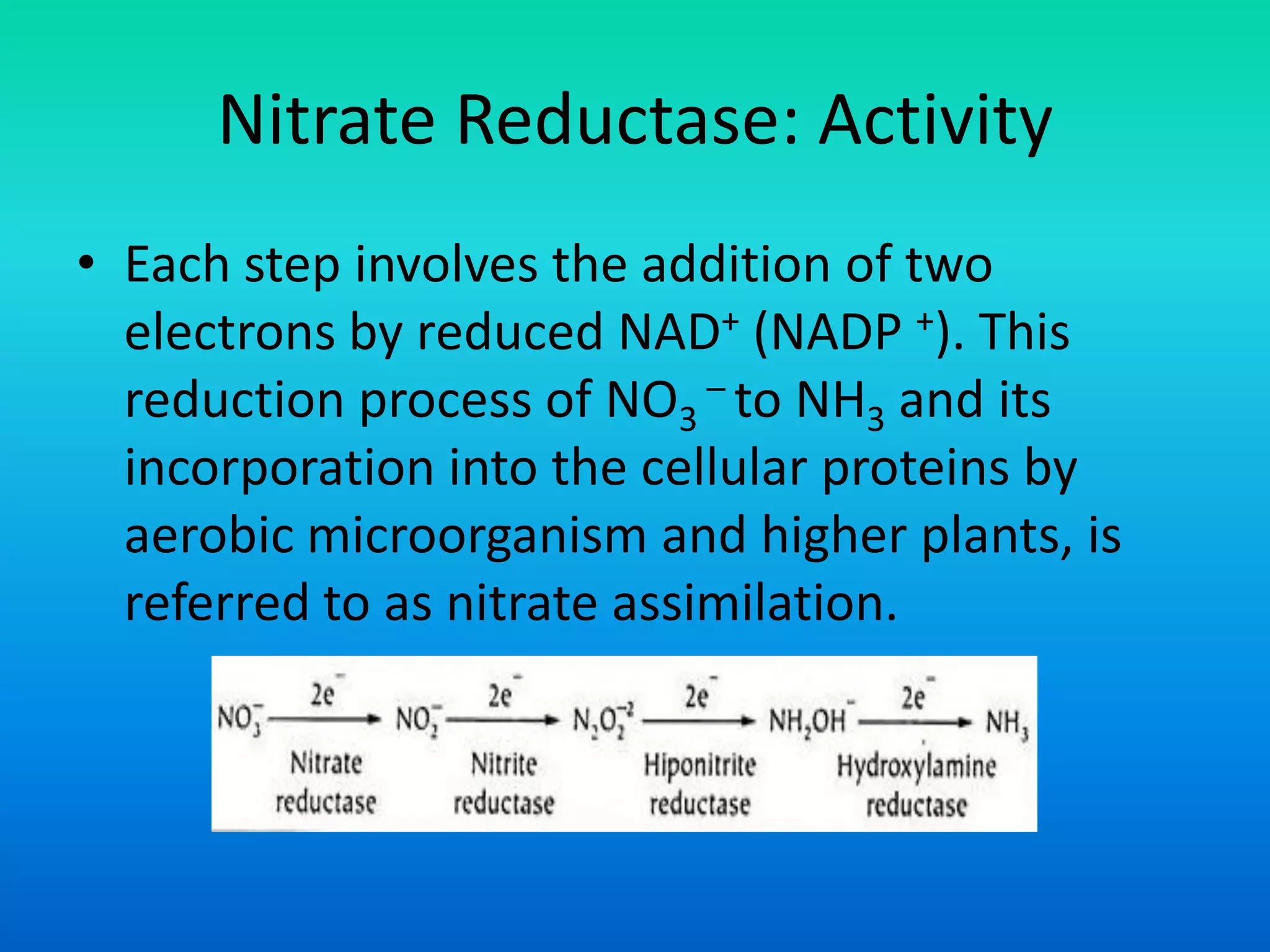 Nitrate Reductase: Activity
• Each step involves the addition of two
electrons by reduced NAD+ (NADP +). This
reduction process of NO3
– to NH3 and its
incorporation into the cellular proteins by
aerobic microorganism and higher plants, is
referred to as nitrate assimilation.
 