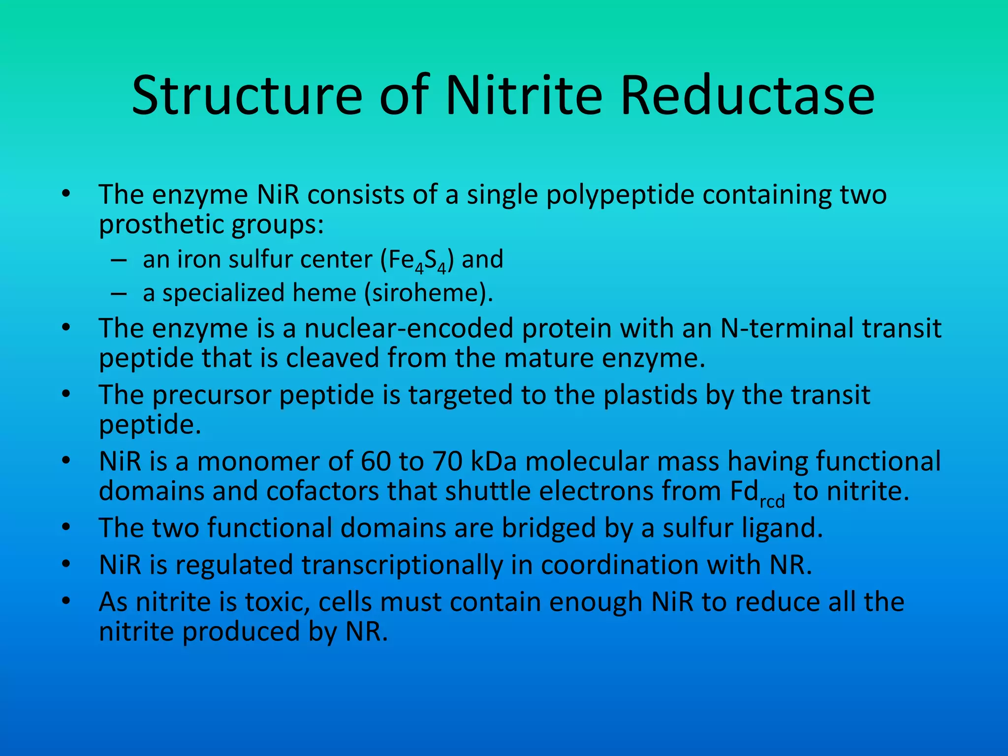 Structure of Nitrite Reductase
• The enzyme NiR consists of a single polypeptide containing two
prosthetic groups:
– an iron sulfur center (Fe4S4) and
– a specialized heme (siroheme).
• The enzyme is a nuclear-encoded protein with an N-terminal transit
peptide that is cleaved from the mature enzyme.
• The precursor peptide is targeted to the plastids by the transit
peptide.
• NiR is a monomer of 60 to 70 kDa molecular mass having functional
domains and cofactors that shuttle electrons from Fdrcd to nitrite.
• The two functional domains are bridged by a sulfur ligand.
• NiR is regulated transcriptionally in coordination with NR.
• As nitrite is toxic, cells must contain enough NiR to reduce all the
nitrite produced by NR.
 