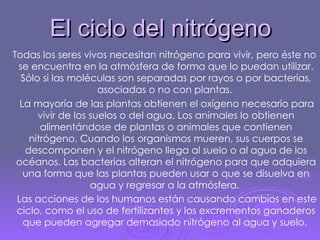 El ciclo del nitrógeno Todas los seres vivos necesitan nitrógeno para vivir, pero éste no se encuentra en la atmósfera de forma que lo puedan utilizar. Sólo si las moléculas son separadas por rayos o por bacterias, asociadas o no con plantas.  La mayoría de las plantas obtienen el oxígeno necesario para vivir de los suelos o del agua. Los animales lo obtienen alimentándose de plantas o animales que contienen nitrógeno. Cuando los organismos mueren, sus cuerpos se descomponen y el nitrógeno llega al suelo o al agua de los océanos. Las bacterias alteran el nitrógeno para que adquiera una forma que las plantas pueden usar o que se disuelva en agua y regresar a la atmósfera.  Las acciones de los humanos están causando cambios en este ciclo, como el uso de fertilizantes y los excrementos ganaderos que pueden agregar demasiado nitrógeno al agua y suelo.   
