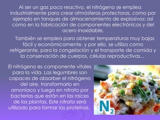 Al ser un gas poco reactivo, el nitrógeno se emplea industrialmente para crear atmósferas protectoras, como por ejemplo en tanques de almacenamiento de explosivos; así como en la fabricación de componentes electrónicos y del acero inoxidable. También se emplea para obtener temperaturas muy bajas fácil y económicamente, y por ello, se utiliza como refrigerante, para la congelación y el transporte de comida y la conservación de cuerpos, células reproductivas...  El nitrógeno es componente vitales para la vida. Las legumbres son capaces de absorber el nitrógeno del aire, transformarlo en amoníaco y luego en nitrato por bacterias que están en las raíces de las plantas. Este nitrato será utilizado para formar las proteínas.  