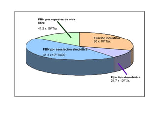 FBN por especies de vida
libre
41,3 x 106 T/a
FBN por asociación simbiótica
41,3 x 106 T/a00
Fijación industrial
80 x 106 T/a.
Fijación atmosférica
24,7 x 106 T/a.
 