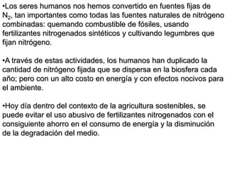 •Los seres humanos nos hemos convertido en fuentes fijas de
N2, tan importantes como todas las fuentes naturales de nitrógeno
combinadas: quemando combustible de fósiles, usando
fertilizantes nitrogenados sintéticos y cultivando legumbres que
fijan nitrógeno.
•A través de estas actividades, los humanos han duplicado la
cantidad de nitrógeno fijada que se dispersa en la biosfera cada
año; pero con un alto costo en energía y con efectos nocivos para
el ambiente.
•Hoy día dentro del contexto de la agricultura sostenibles, se
puede evitar el uso abusivo de fertilizantes nitrogenados con el
consiguiente ahorro en el consumo de energía y la disminución
de la degradación del medio.
 