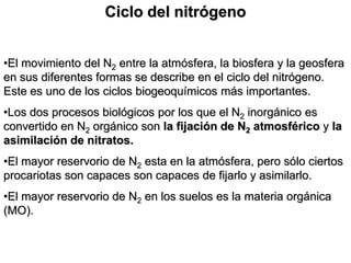 Ciclo del nitrógeno
•El movimiento del N2 entre la atmósfera, la biosfera y la geosfera
en sus diferentes formas se describe en el ciclo del nitrógeno.
Este es uno de los ciclos biogeoquímicos más importantes.
•Los dos procesos biológicos por los que el N2 inorgánico es
convertido en N2 orgánico son la fijación de N2 atmosférico y la
asimilación de nitratos.
•El mayor reservorio de N2 esta en la atmósfera, pero sólo ciertos
procariotas son capaces son capaces de fijarlo y asimilarlo.
•El mayor reservorio de N2 en los suelos es la materia orgánica
(MO).
 