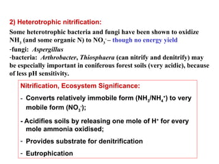 Nitrification Process and Denitrification Process.ppt