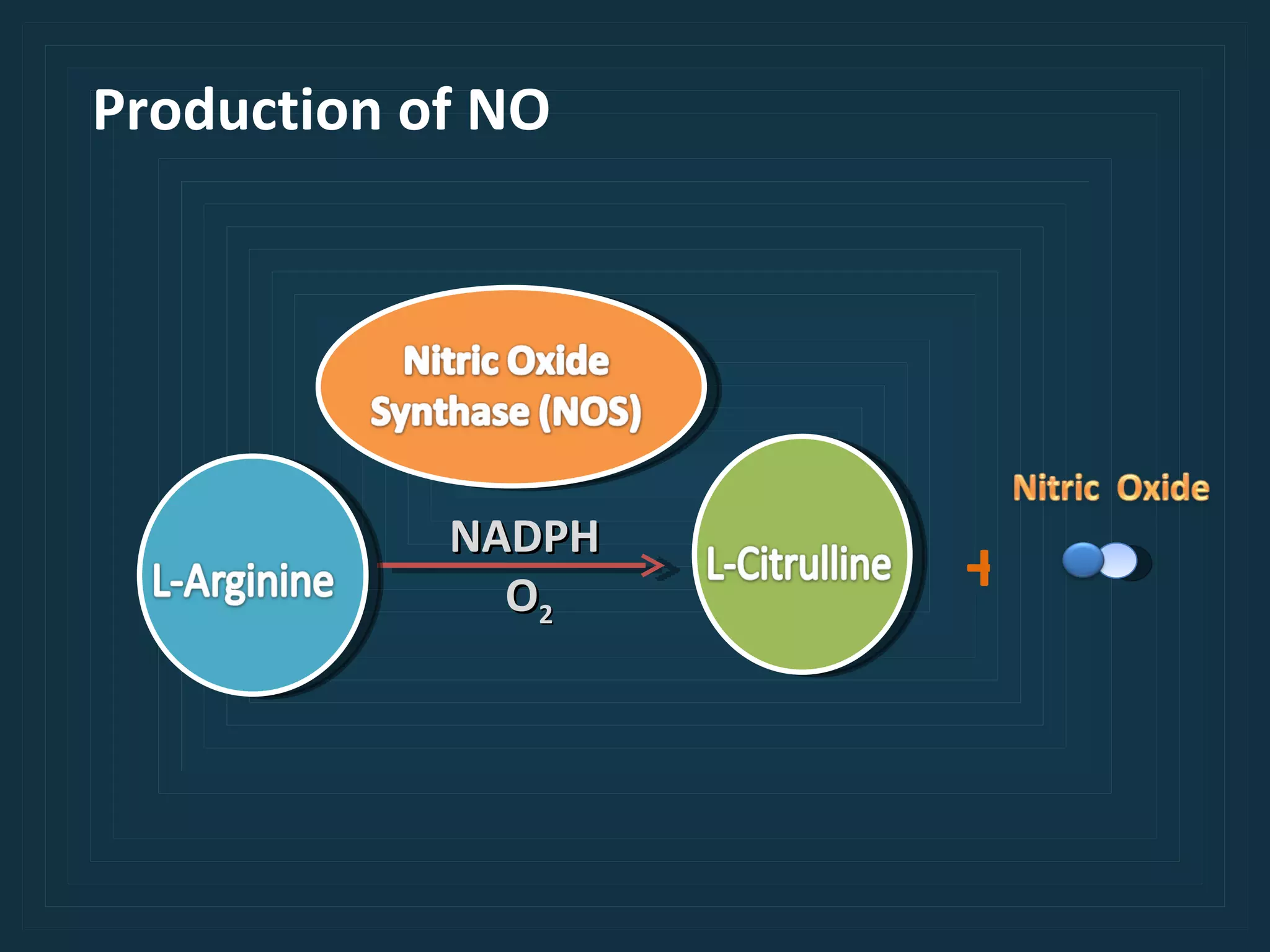 NADPH O 2   + Production of NO 
