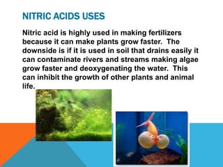 NITRIC ACIDS USES
Nitric acid is highly used in making fertilizers
because it can make plants grow faster. The
downside is if it is used in soil that drains easily it
can contaminate rivers and streams making algae
grow faster and deoxygenating the water. This
can inhibit the growth of other plants and animal
life.
 