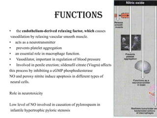 functions
• the endothelium-derived relaxing factor, which causes
vasodilation by relaxing vascular smooth muscle.
• acts as a neurotransmitter
• prevents platelet aggregation
• an essential role in macrophage function.
• Vasodilator, important in regulation of blood pressure
• Involved in penile erection; sildenafil citrate (Viagra) affects
this process by inhibiting a cGMP phosphodiesterase
NO and peroxy nitrite induce apoptosis in different types of
neural cells.
Role in neurotoxicity
Low level of NO involved in causation of pylorospasm in
infantile hypertrophic pyloric stenosis
 