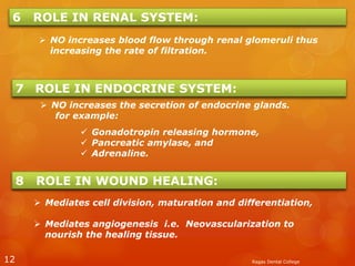 Ragas Dental College12
6 ROLE IN RENAL SYSTEM:
 NO increases blood flow through renal glomeruli thus
increasing the rate of filtration.
7 ROLE IN ENDOCRINE SYSTEM:
 NO increases the secretion of endocrine glands.
for example:
8 ROLE IN WOUND HEALING:
 Mediates cell division, maturation and differentiation,
 Mediates angiogenesis i.e. Neovascularization to
nourish the healing tissue.
 Gonadotropin releasing hormone,
 Pancreatic amylase, and
 Adrenaline.
 