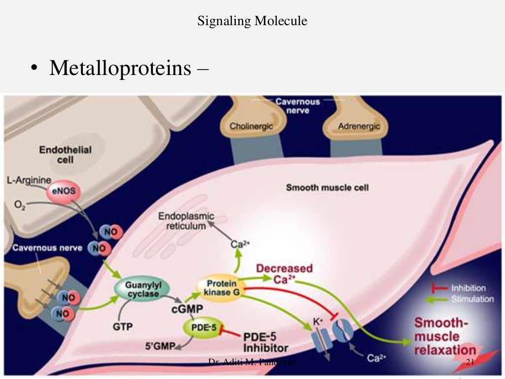 Nitric oxide and its role in therapeutics