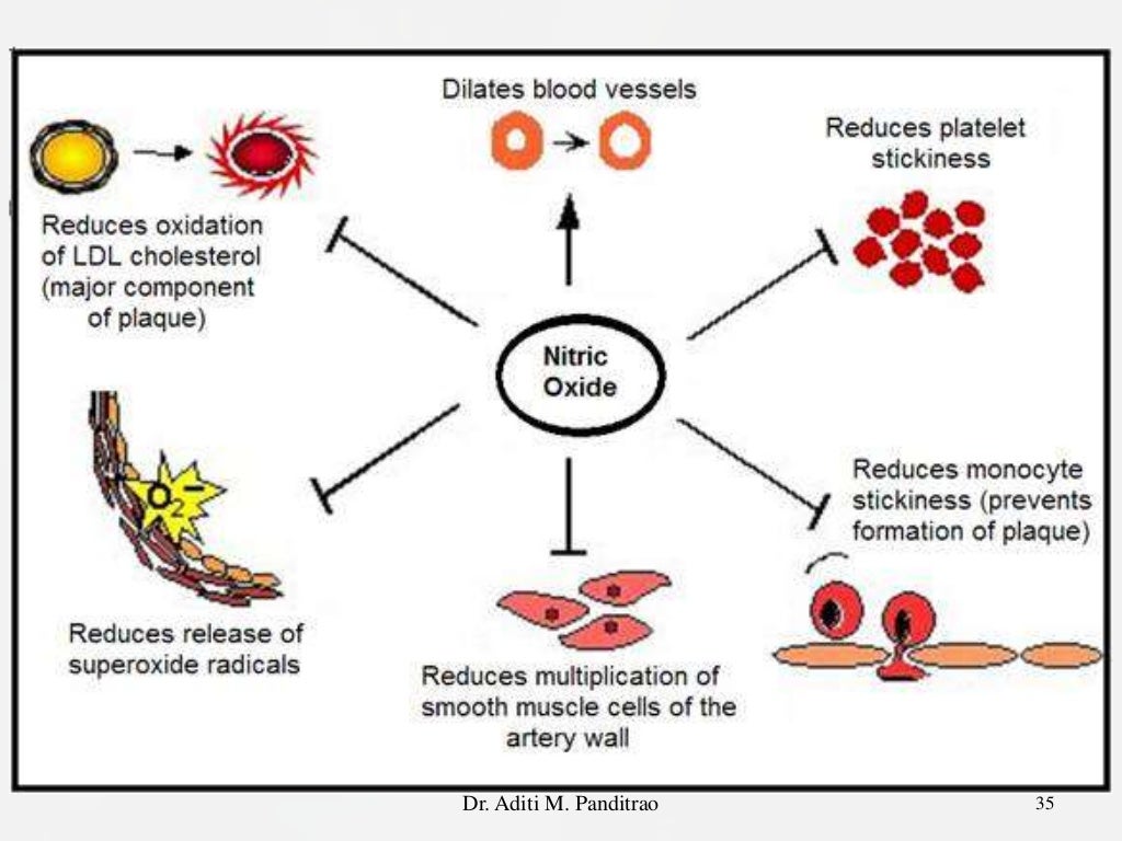 Nitric oxide and its role in therapeutics