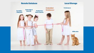 Performance
Scalability
/ Simplicity
Flexible Data
Model / Queries
Technological
Diversity
Embedded
Databases !
O ine data
Remote Database Local Storage
 