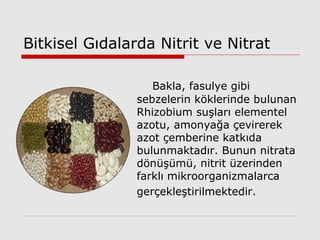 Bitkisel Gıdalarda Nitrit ve Nitrat
Bakla, fasulye gibi
sebzelerin köklerinde bulunan
Rhizobium suşları elementel
azotu, amonyağa çevirerek
azot çemberine katkıda
bulunmaktadır. Bunun nitrata
dönüşümü, nitrit üzerinden
farklı mikroorganizmalarca
gerçekleştirilmektedir.
 
