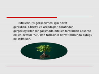 Bitkilerin iyi gelişebilmesi için nitrat
gereklidir. Christy ve arkadaşları tarafından
gerçekleştirilen bir çalışmada bitkiler tarafından absorbe
edilen azotun %90’dan fazlasının nitrat formunda olduğu
belirtilmiştir.
 