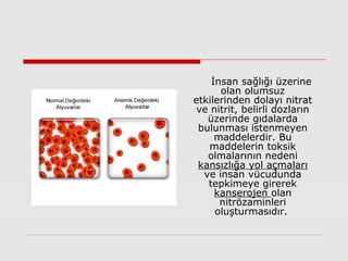 İnsan sağlığı üzerine
olan olumsuz
etkilerinden dolayı nitrat
ve nitrit, belirli dozların
üzerinde gıdalarda
bulunması istenmeyen
maddelerdir. Bu
maddelerin toksik
olmalarının nedeni
kansızlığa yol açmaları
ve insan vücudunda
tepkimeye girerek
kanserojen olan
nitrözaminleri
oluşturmasıdır.
 