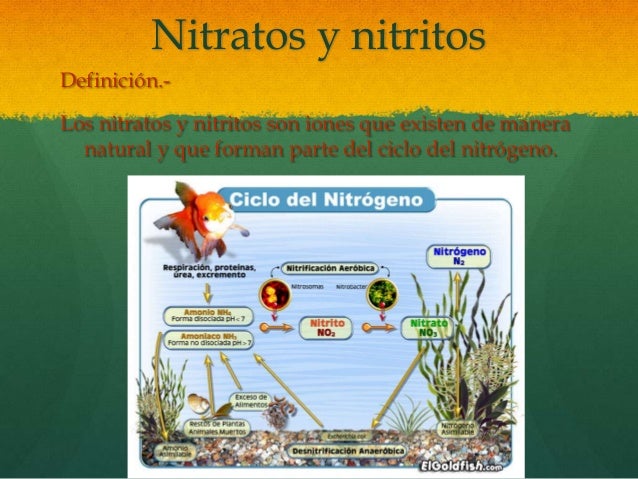 Nitritos y nitratos