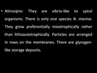 • Nitrosipra:   They       are   vibrio-like   to   spiral
  organisms. There is only one species N. marina.
  They grow preferentially mixotrophically rather
  than lithoautotrophically. Particles are arranged
  in rows on the membranes. There are glycogen-
  like storage deposits.
 