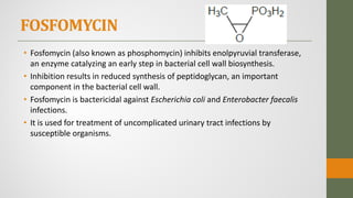 FOSFOMYCIN
• Fosfomycin (also known as phosphomycin) inhibits enolpyruvial transferase,
an enzyme catalyzing an early step in bacterial cell wall biosynthesis.
• Inhibition results in reduced synthesis of peptidoglycan, an important
component in the bacterial cell wall.
• Fosfomycin is bactericidal against Escherichia coli and Enterobacter faecalis
infections.
• It is used for treatment of uncomplicated urinary tract infections by
susceptible organisms.
 