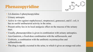 Phenazopyridine
• 2,6-diamino-3-phenylazopyridine
• Urinary antiseptic
• Active in vitro against staphylococci, streptococci, gonococci, and E. coli, it
has no useful antibacterial activity in the urine.
• Present utility lies in its local analgesic effect on the mucosa of the urinary
tract.
• Usually, phenazopyridine is given in combination with urinary antiseptics.
• Azo-Gantrisin, a fixed-dose combination with the sulfisoxazole, and
• Urobiotic, a combination with the antibiotic oxytetracycline and
sulfamethizole
• The drug is rapidly excreted in the urine, to which it gives an orange-red color.
 
