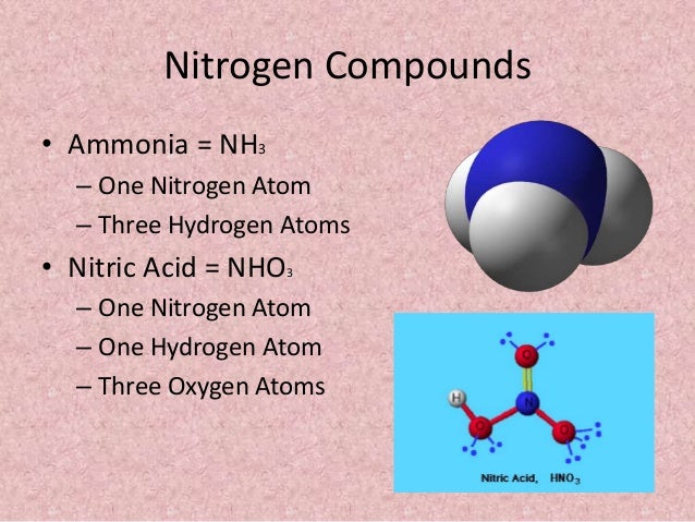 nitrogen atom