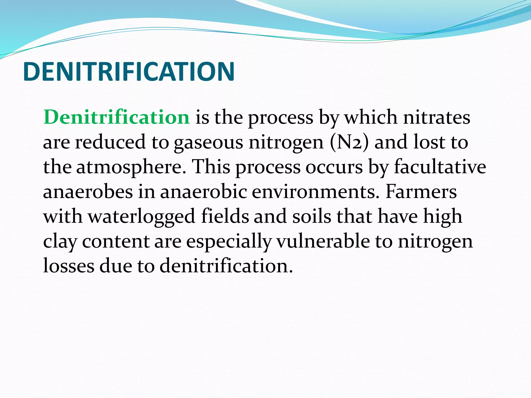DENITRIFICATION
Denitrification is the process by which nitrates
are reduced to gaseous nitrogen (N2) and lost to
the atmosphere. This process occurs by facultative
anaerobes in anaerobic environments. Farmers
with waterlogged fields and soils that have high
clay content are especially vulnerable to nitrogen
losses due to denitrification.
 