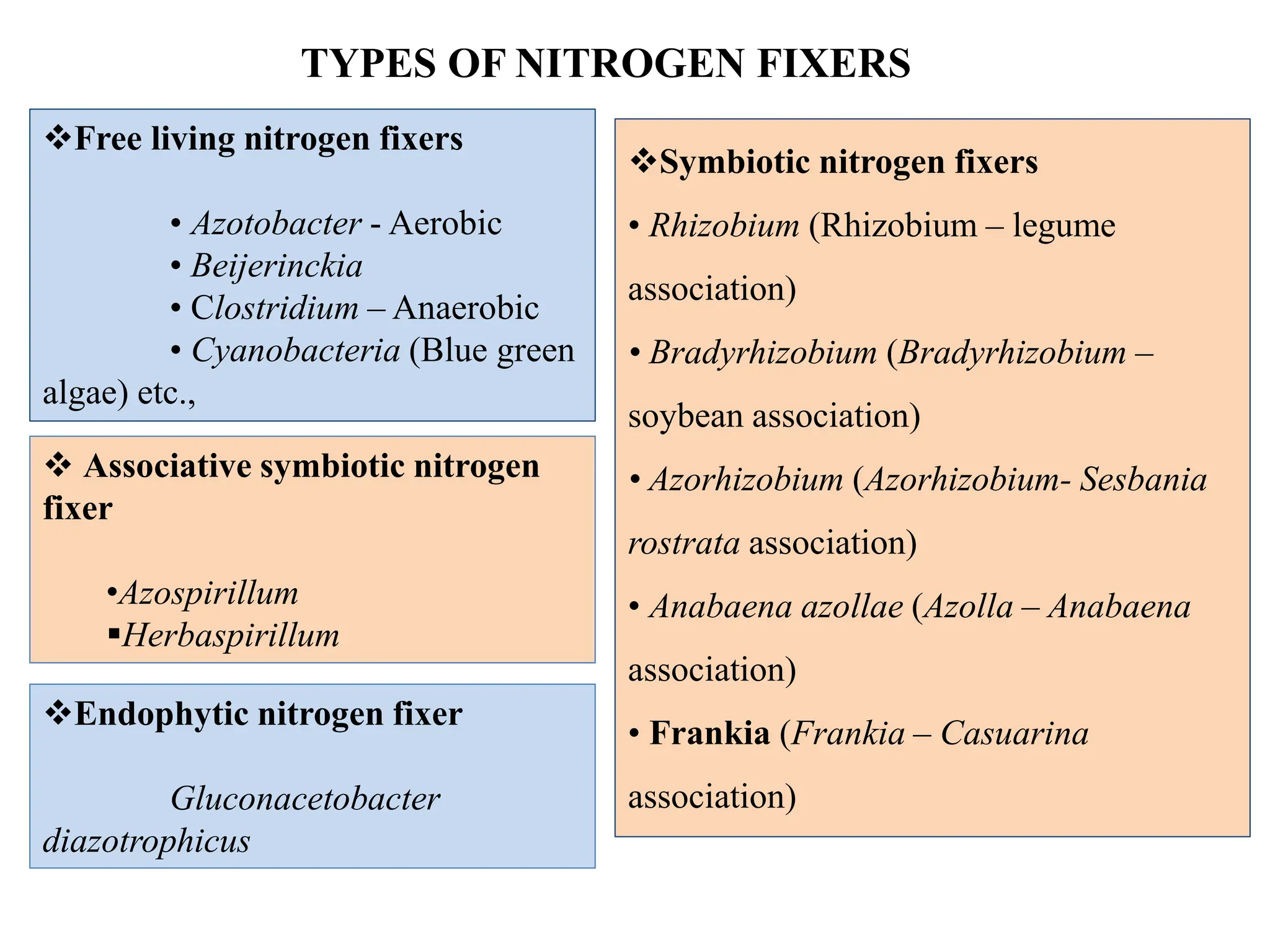 Nitrogen Cycle And Biological Nitrogen Fixation Pptx