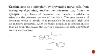 Cocaine acts as a stimulant by preventing nerve cells from
taking up dopamine, another neurotransmitter, from the
synapse. High levels of dopamine are therefore available to
stimulate the pleasure centers of the brain. The enhancement of
dopamine action is thought to be responsible for cocaine’s “high” and
its addictive properties. After the binge, dopamine is depleted in less
than an hour. This leaves the user in a pleasureless state and (often)
craving more cocaine.
 .
 