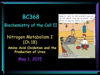 BC368
Biochemistry of the Cell II
Nitrogen Metabolism I
(Ch 18)
Amino Acid Oxidation and the
Production of Urea
May 1, 2015
 