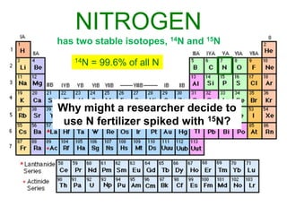 NITROGEN
has two stable isotopes, 14N and 15N
   14N   = 99.6% of all N



Why might a researcher decide to
 use N fertilizer spiked with 15N?
 